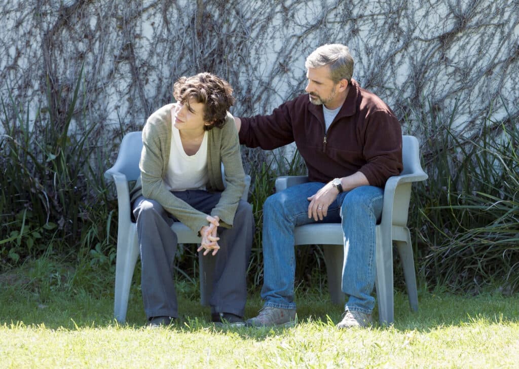Timothée Chalamet as Nic Sheff and Steve Carell as David Scheff star in BEAUTIFUL BOY BEAUTIFUL BOY 1 1024x728 - ΕΡΤ2: Οικογενειακές ιστορίες από τον ανεξάρτητο αμερικανικό κινηματογράφο - Digitaltvinfo.gr