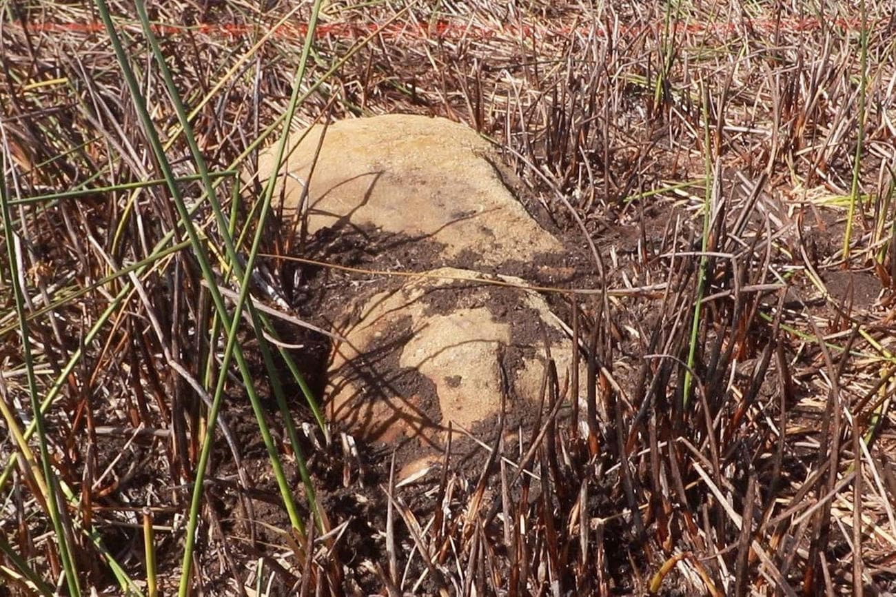 SEI 146523904 - Αποκαλύφθηκε κρυμμένο άγαλμα στο Νησί του Πάσχα