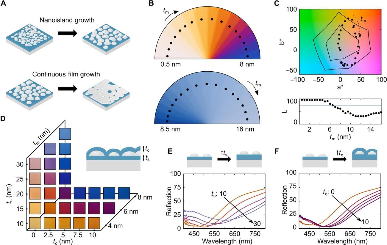 sciadv.adf7207 f2 - Επιστήμονες δημιούργησαν την ελαφρύτερη βαφή του κόσμου, βασισμένη στις πεταλούδες