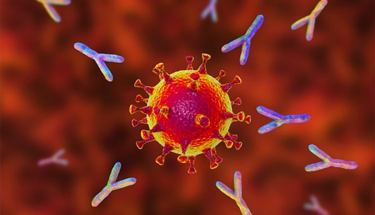 Τεχνητή νοημοσύνη της Meta σχεδιάζει αντισώματα για Covid και Έμπολα