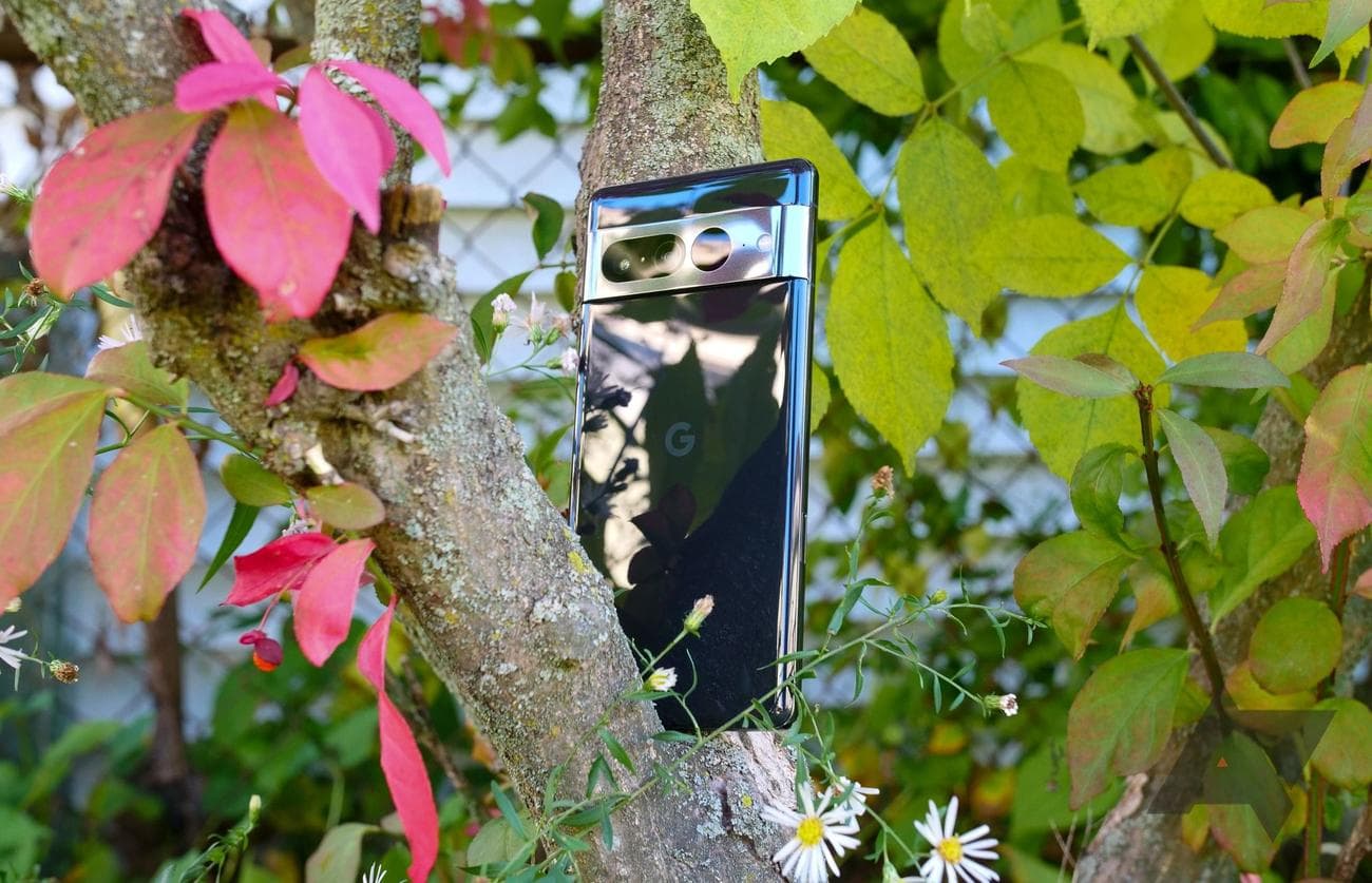 google-pixel-7-pro 1