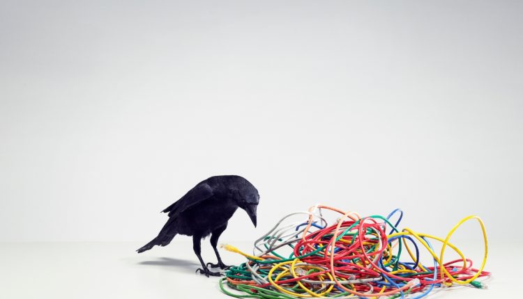 CRO: Γιατί οι νεοφυείς επιχειρήσεις πρέπει να δίνουν προτεραιότητα στη βελτιστοποίηση του ποσοστού μετατροπής από νωρίς