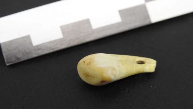 CSI Προϊστορία: Μενταγιόν 20.000 ετών περιείχε ακόμα DNA της ιδιοκτήτριας