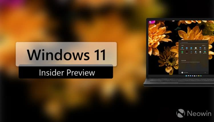 Windows 11 Insider Preview written with an image of a dummy laptop running Windows 11