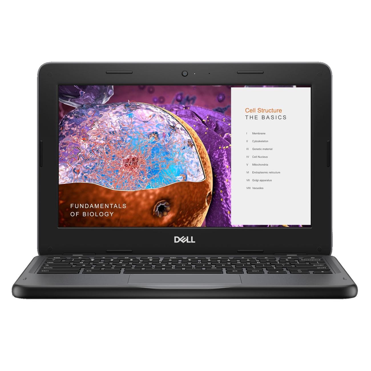 dell-chromebook-3110-square-render-02