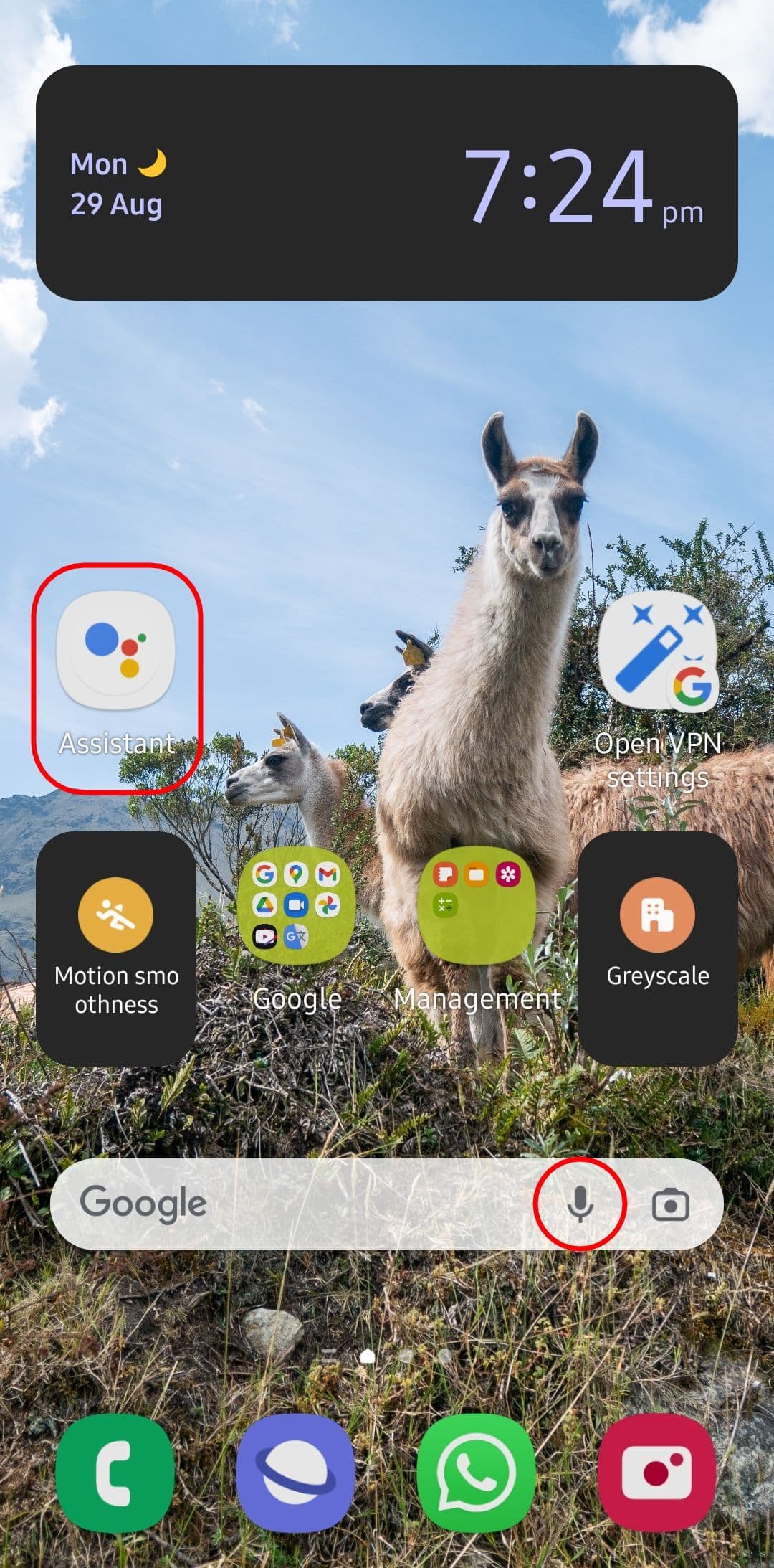 μια αρχική οθόνη Android με τονισμένο το εικονίδιο του βοηθού Google