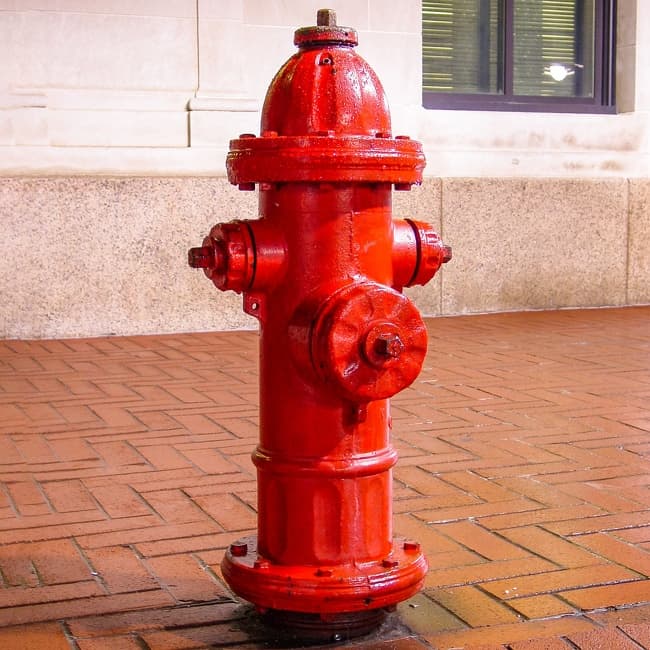 16 περιπτώσεις που η Google μας άνοιξε τα μάτια σε απορίες που κανείς άλλος δεν μπορούσε να μας απαντήσει - Εικόνα 10