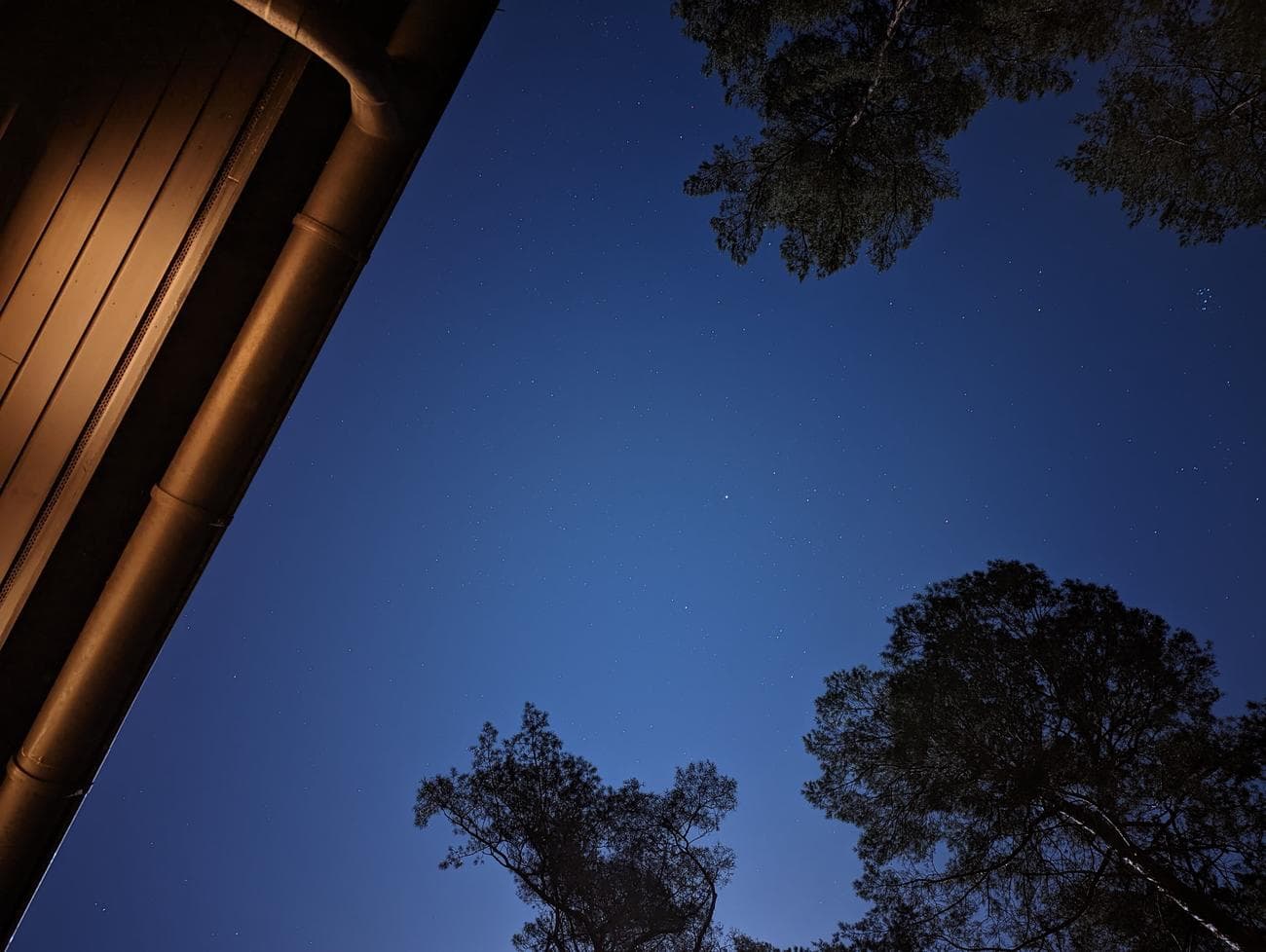 φωτογραφία του νυχτερινού ουρανού που πλαισιώνεται από δέντρα και στέγη