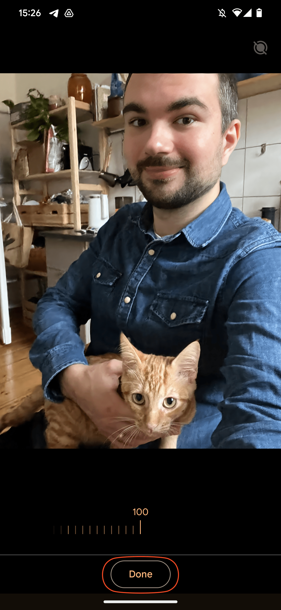 μυστηριώδης Γερμανός άνδρας με μπλε πουκάμισο που κρατά γάτα τζίντζερ