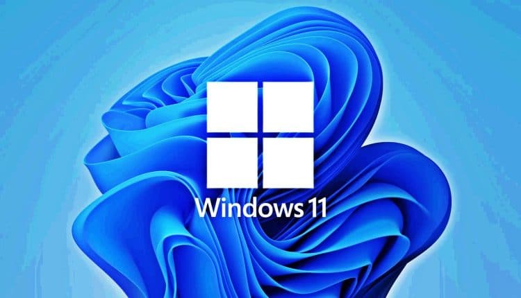 Windows 11