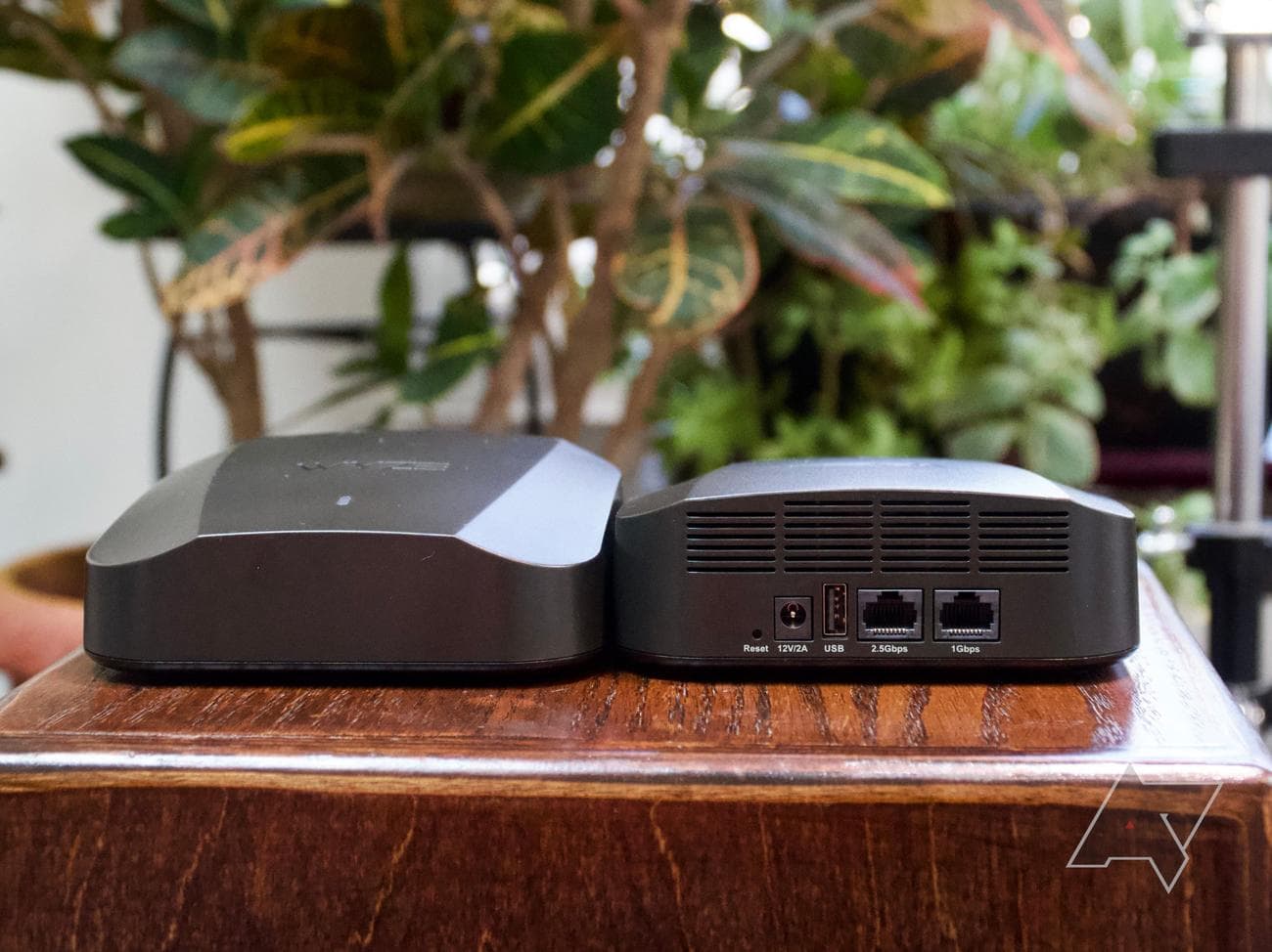 Wyze Mesh Router Pro two-pack front and ports