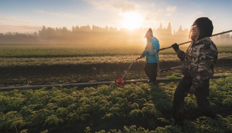 Από τη ρίζα μέχρι το στέμμα, η Mast Reforestation αναπτύσσει εκ νέου την οικονομία των δέντρων για τον 21ο αιώνα
