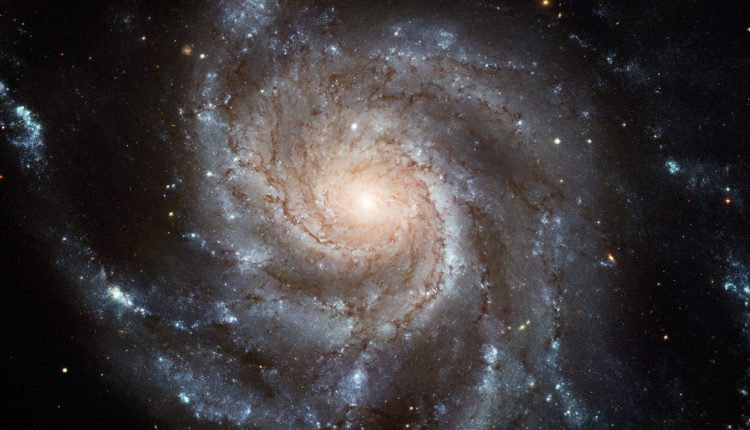 Ερασιτέχνες αστρονόμοι μπορούν να δουν μια νέα σουπερνόβα στον νυχτερινό ουρανό
