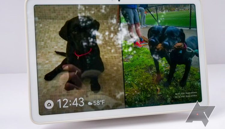 A Google Pixel Tablet sits against a white background. Images of two dogs appear on the display. 