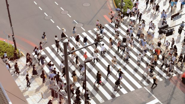 Κουνούπι: Σκοτώνει μέχρι και 1 εκατ. ανθρώπους ετησίως - Η ελονοσία, το AIDS και η διάδοση ασθενειών
