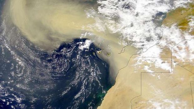 Λίπασμα εδάφους-θαλάσσης: Πώς η σκόνη της Σαχάρας ταΐζει το φυτοπλαγκτόν