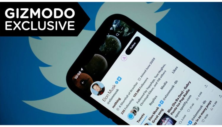 Ο Elon επιστρέφει το Twitter Blue Check σε τυχαίους χρήστες που δεν πληρώνουν