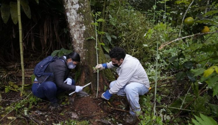 Οι επιστήμονες μπορούν πλέον να συλλέγουν ανθρώπινο DNA από δείγματα εδάφους ή νερού