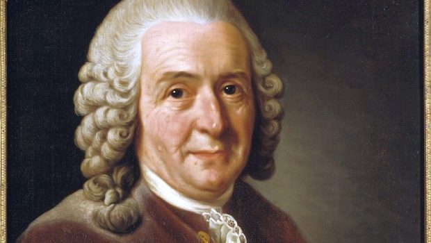 Πρωτομαγιά της ταξινομικής | in.gr