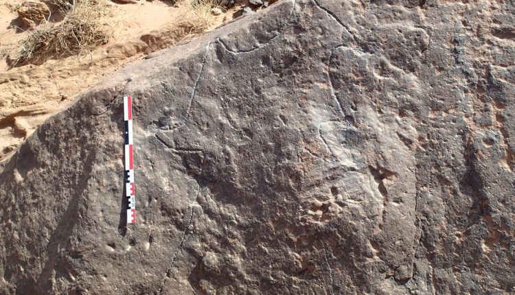 Σχέδια κλίμακας για τεράστιες παγίδες ζώων που ανακαλύφθηκαν στη Σαουδική Αραβία και την Ιορδανία
