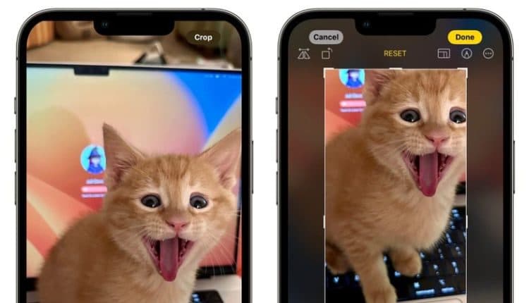 Η εφαρμογή Φωτογραφίες στην iOS 17 διαθέτει κουμπί περικοπής με ένα πάτημα κατά τη μεγέθυνση #WWDC23