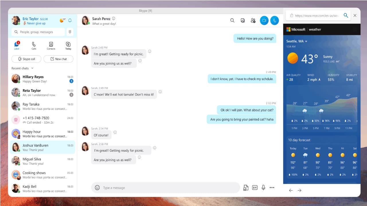 Ένα στιγμιότυπο οθόνης της προεπισκόπησης Skype 899