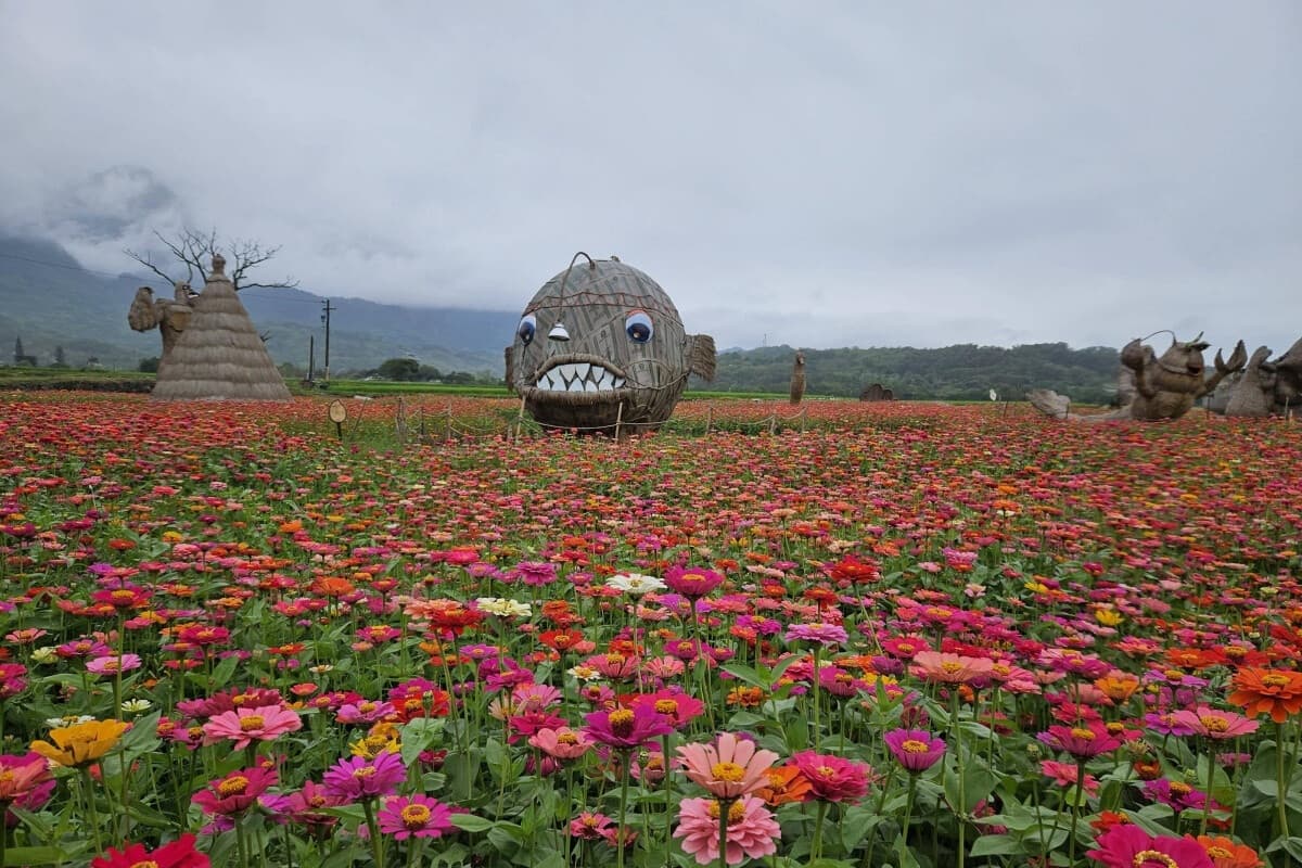 Αυτή η πρόσφατη φωτογραφία που τραβήχτηκε από ένα Redditor απεικονίζει τέλεια το πρόβλημα θαμπώματος φόντου S23.  - Η Samsung υπόσχεται να 