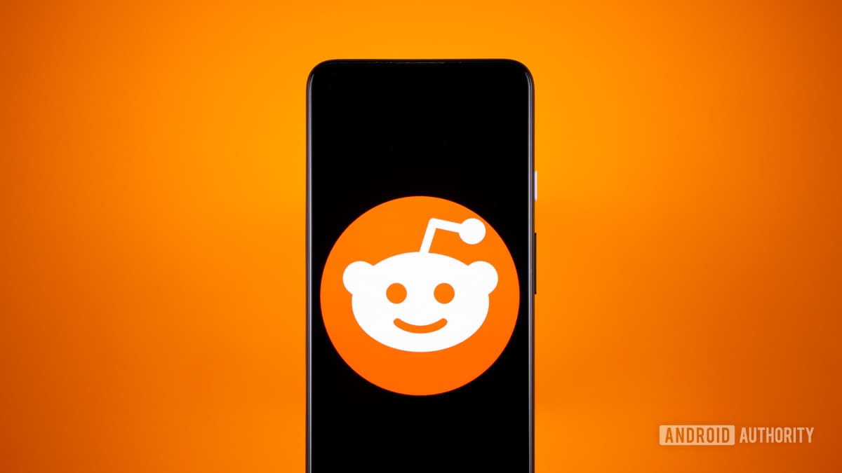 Reddit stock photo 4