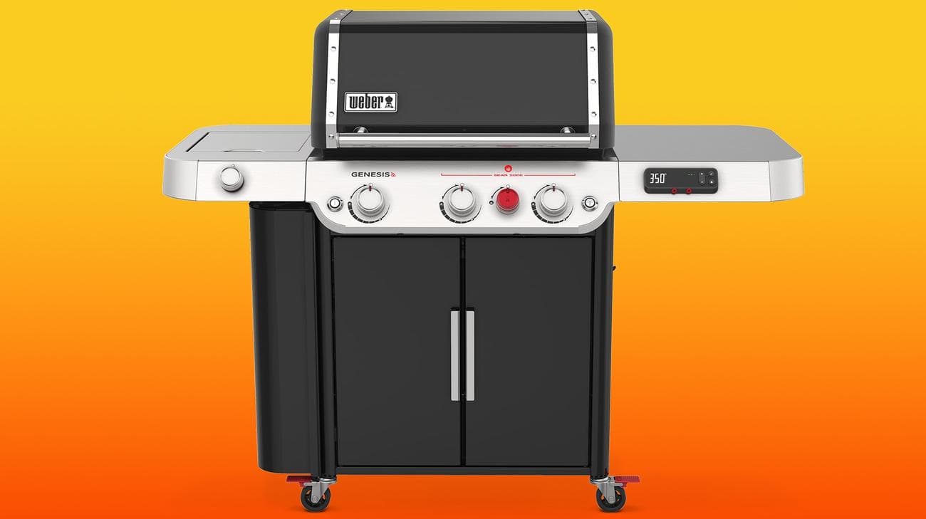 Σειρά Weber Genesis