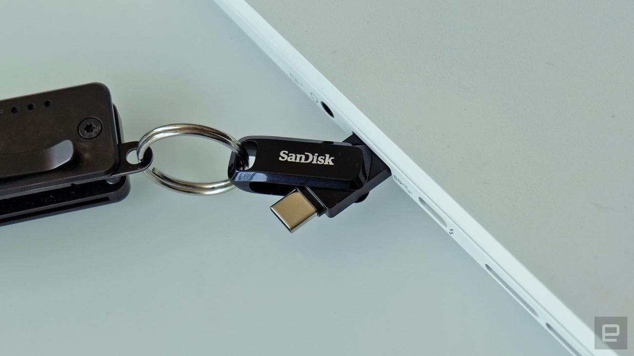 SanDisk 256 GB Ultra Dual Drive Go