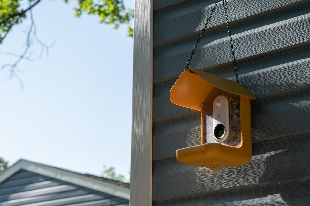 bird-buddy-smart-bird-feeder-angle