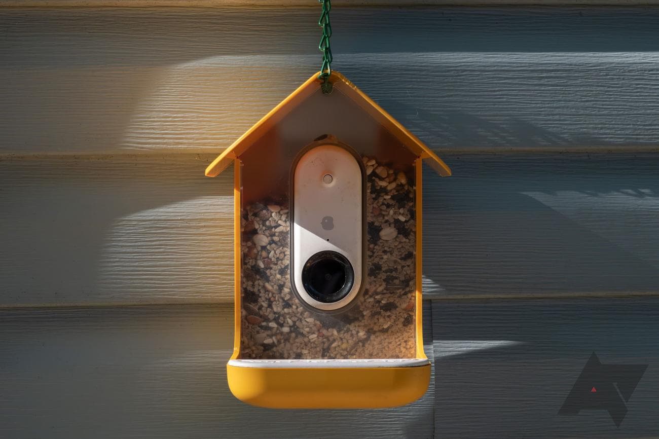 bird-buddy-smart-bird-feeder-front