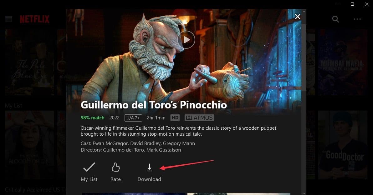 στιγμιότυπο οθόνης της ταινίας της εφαρμογής netflix για windows