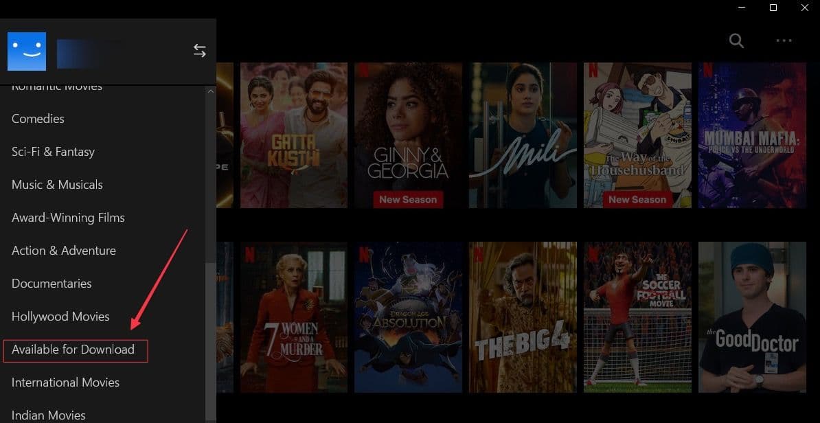 στιγμιότυπο οθόνης της πλαϊνής γραμμής ρυθμίσεων της εφαρμογής netflix των Windows