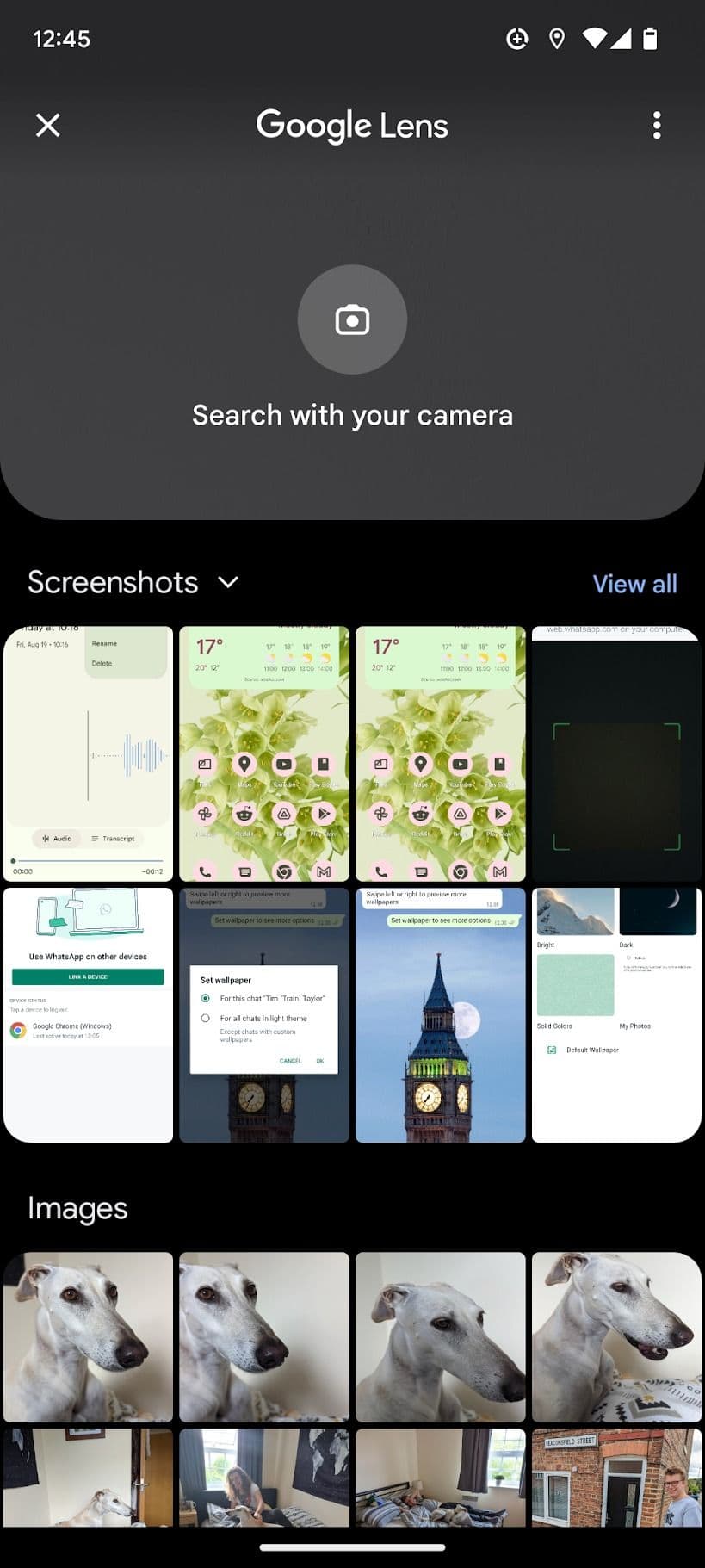 Εμφανίζεται ένα στιγμιότυπο οθόνης της κύριας οθόνης της εφαρμογής Google Lens.  Η διεπαφή διαθέτει ένα σκόπευτρο κάμερας στο κέντρο, έτοιμο για λήψη εικόνων και σάρωση αντικειμένων.