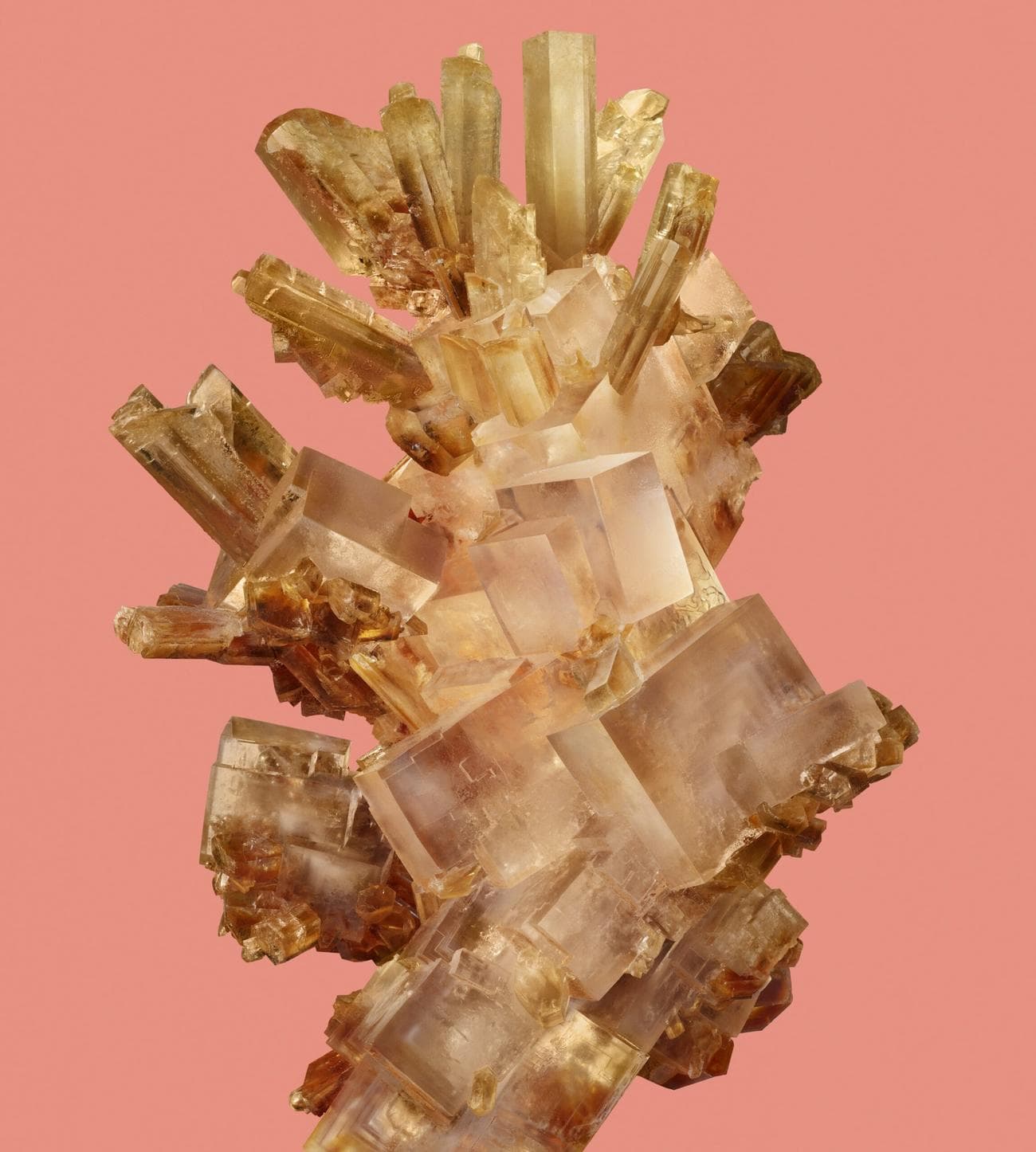 google pixel 8 ταπετσαρία παιώνια φως