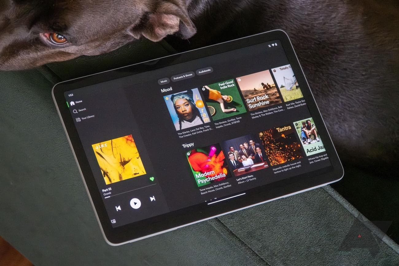 google-pixel-tablet-spotify-dog