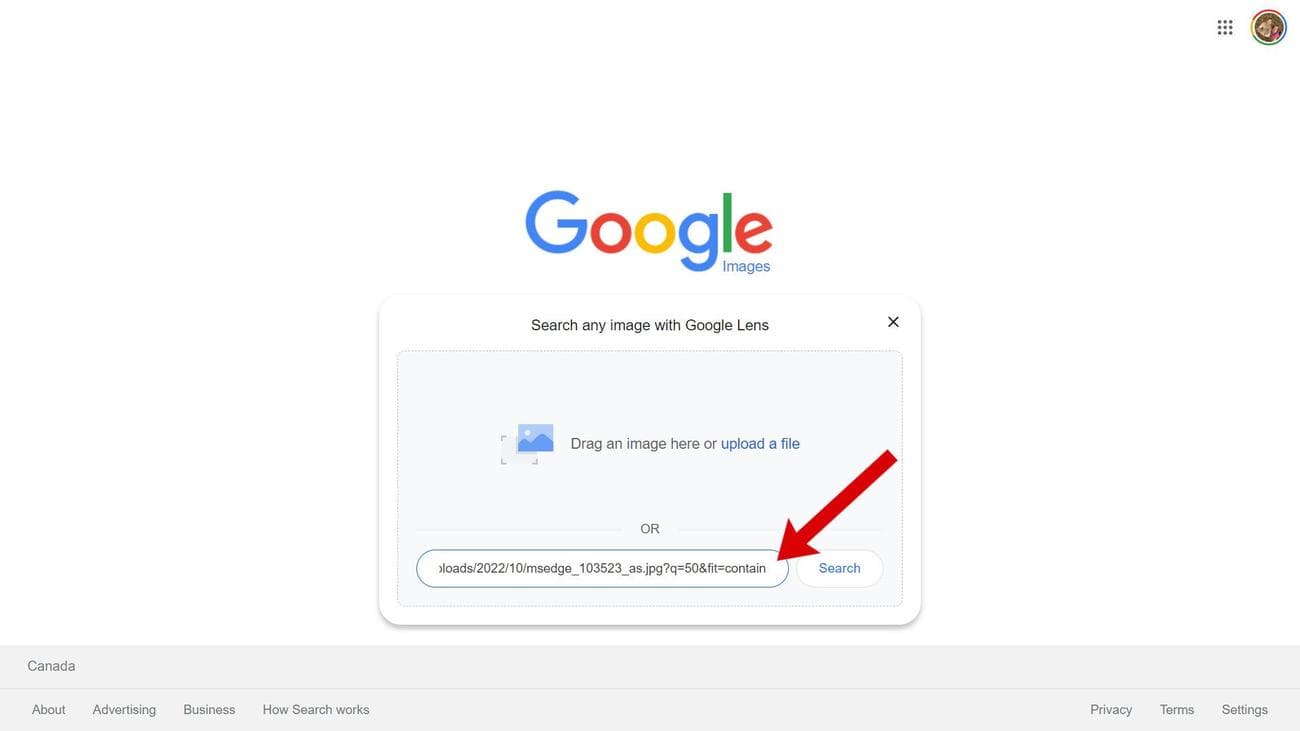Ένα στιγμιότυπο οθόνης του παραθύρου μεταφόρτωσης των Εικόνων Google με ένα βέλος που δείχνει στο πλαίσιο URL.