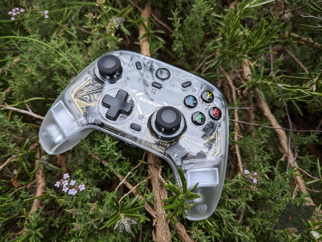 καθαρός έλεγχος παιχνιδιού που στηρίζεται σε κλαδιά