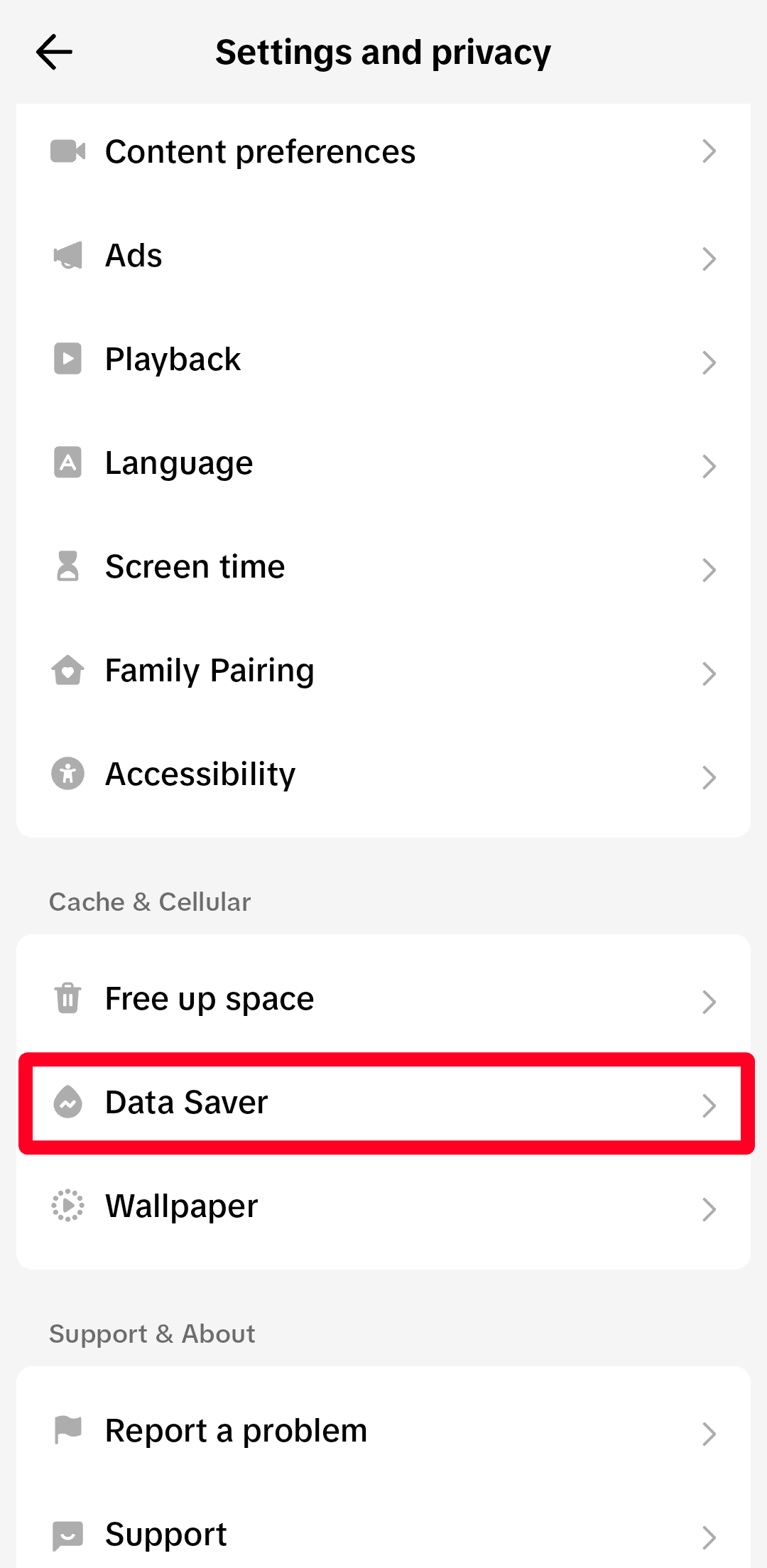 Settings and Privacy menu on TikTok app