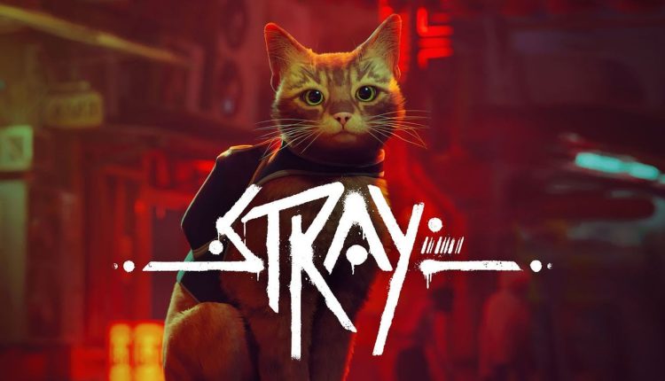 Δημοφιλές παιχνίδι περιπέτειας για γάτες «Stray» που έρχεται στο Mac