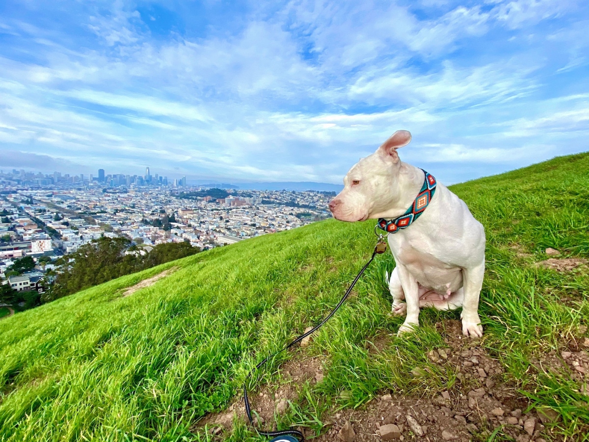 Ενημέρωση TechCrunch+: AI + ταξίδια, έρευνα επενδυτών fusion, γιατί δεν θα λάβετε ποτέ χρηματοδότηση
