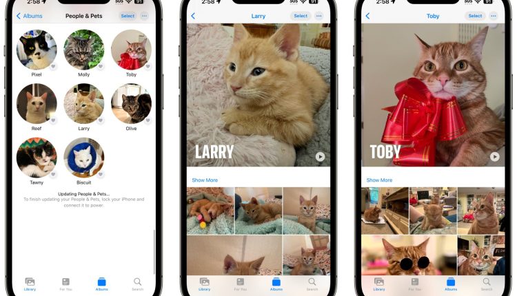 Η εφαρμογή Φωτογραφίες iOS 17 αναγνωρίζει τα κατοικίδιά σας
