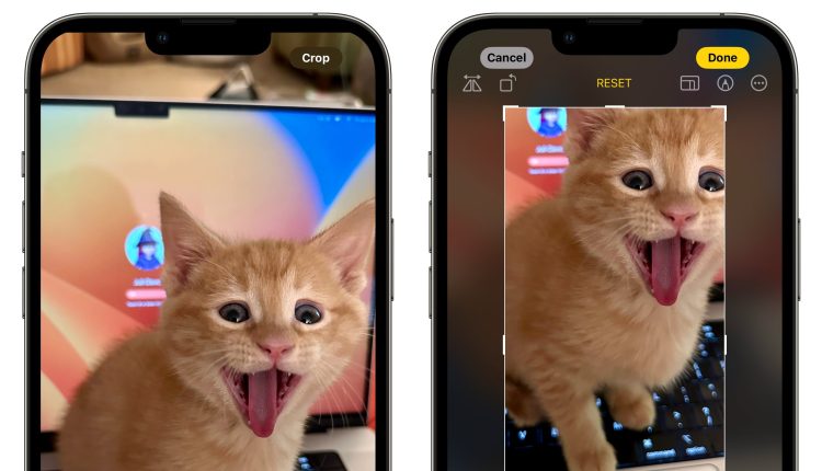 Η εφαρμογή Φωτογραφίες iOS 17 διαθέτει κουμπί περικοπής με ένα πάτημα κατά τη μεγέθυνση
