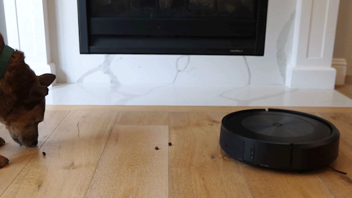 Ο διανομέας Treat Roomba θα μπορούσε να τερματίσει τον πόλεμο μεταξύ σκύλων και ηλεκτρικής σκούπας
