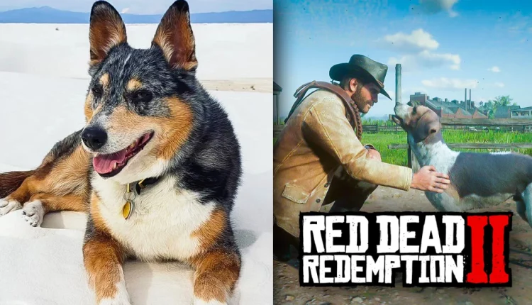 Πέθανε ο σκύλος που υποδύθηκε τον Cain στο Red Dead Redemption 2