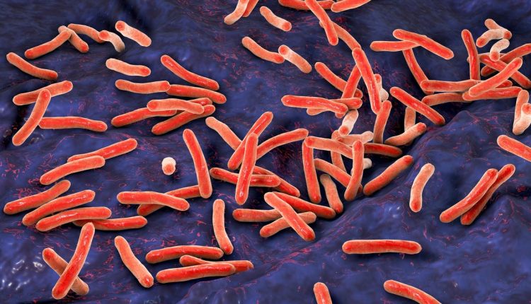 Τελικά συνελήφθη η γυναίκα που αρνήθηκε τη θεραπεία της φυματίωσης
