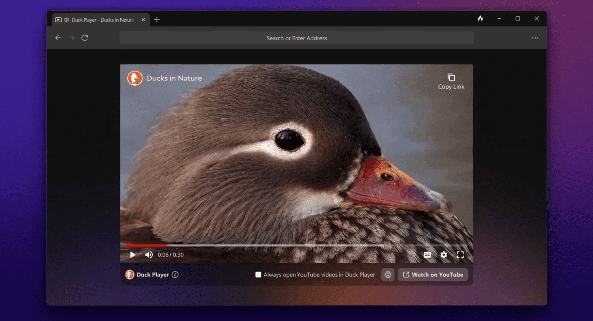 Το πρόγραμμα περιήγησης Windows του DuckDuckGo είναι πλέον διαθέσιμο σε open beta
