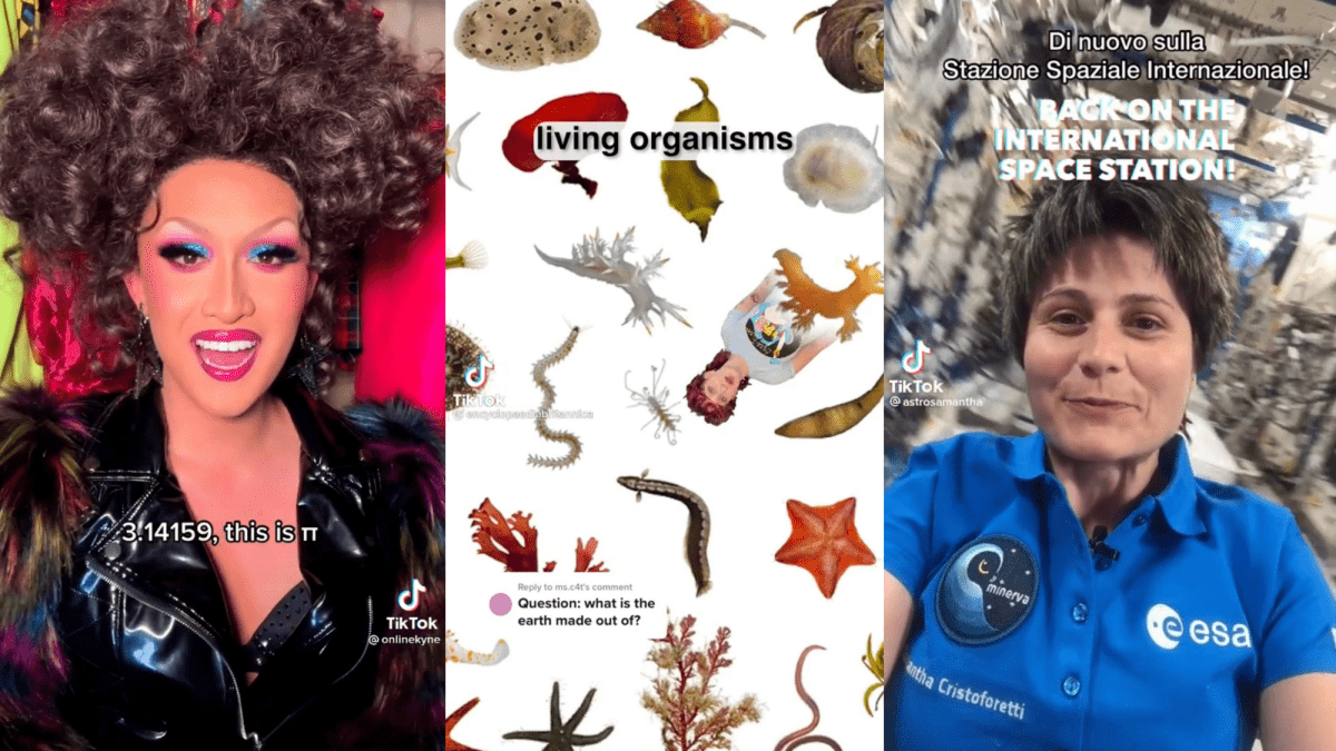 14 TikTok accounts to follow for fun STEM lessons