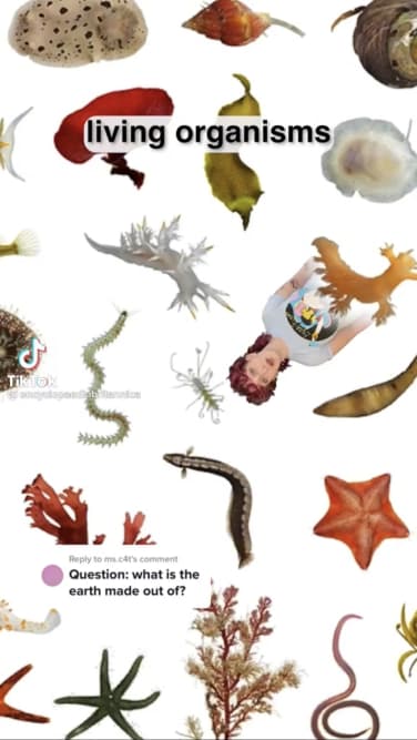 A screenshot of a TikTok video from Encyclopedia Britannica.